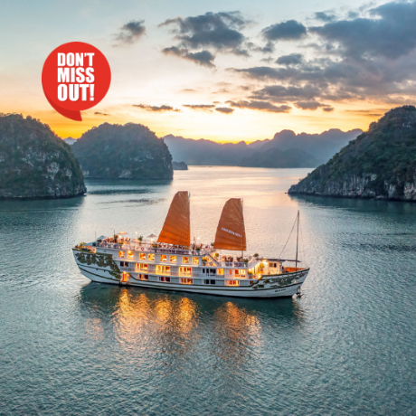 Don’t Miss Out: Exclusive Room Availability for the Holiday Season!