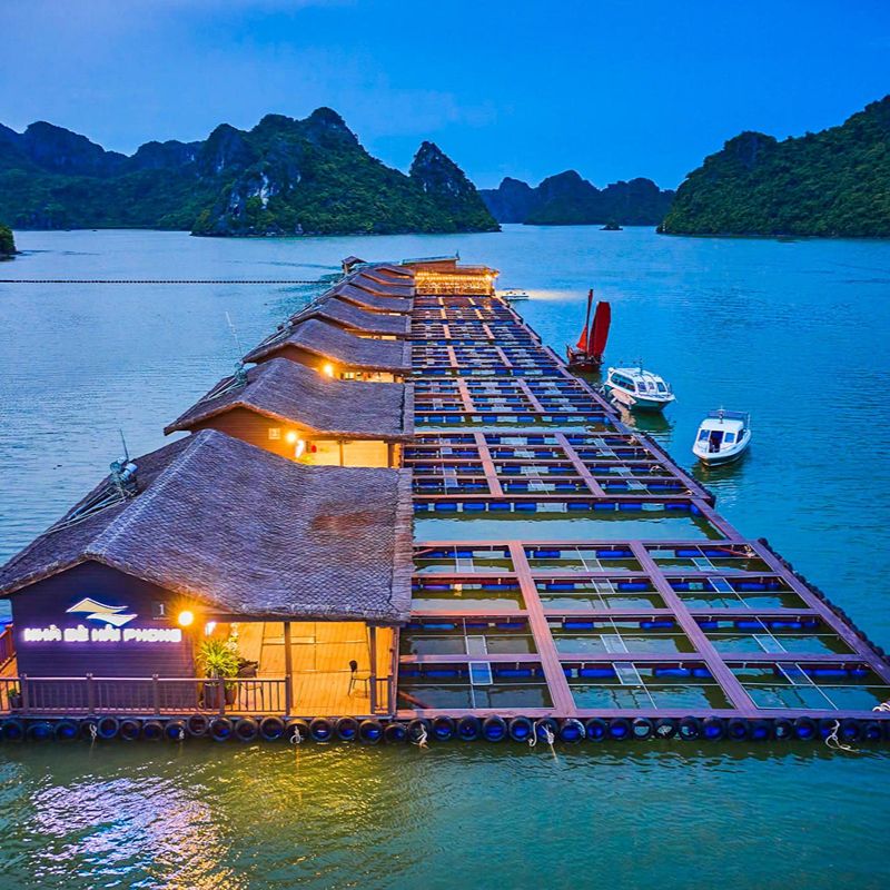 Fish Farm