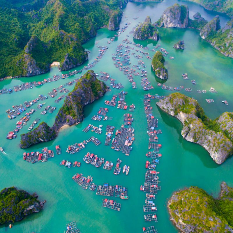Fishing Village
