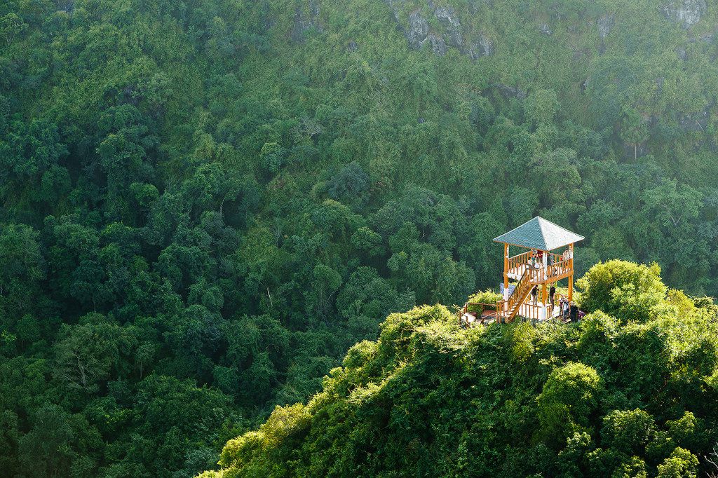 Exploring the Most Famous Lanha Bay Tourist Attractions - Bat Cave