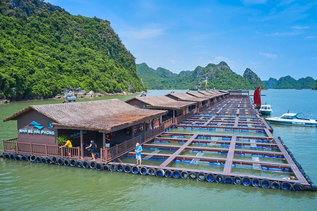 Floating Fish Farm