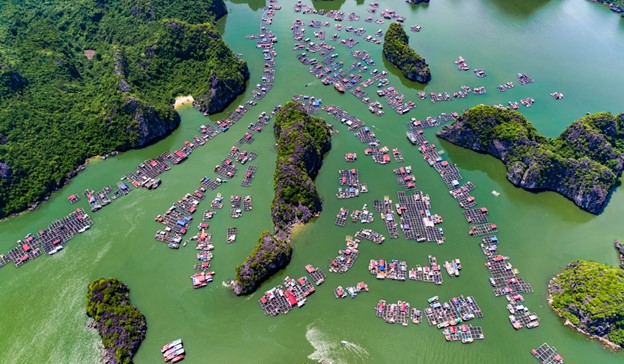 Floating village in Halong Bay